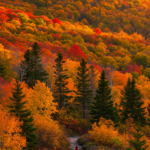 10 Best National Parks for Fall Foliage Viewing