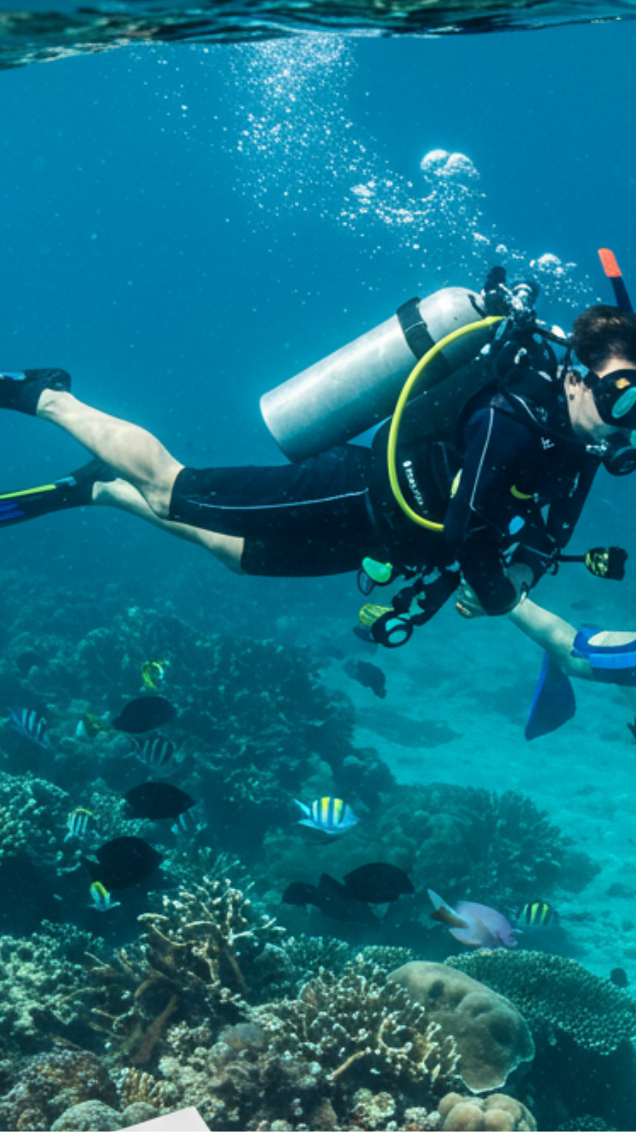 Diving and Snorkeling Insurance: Protecting Underwater Adventures