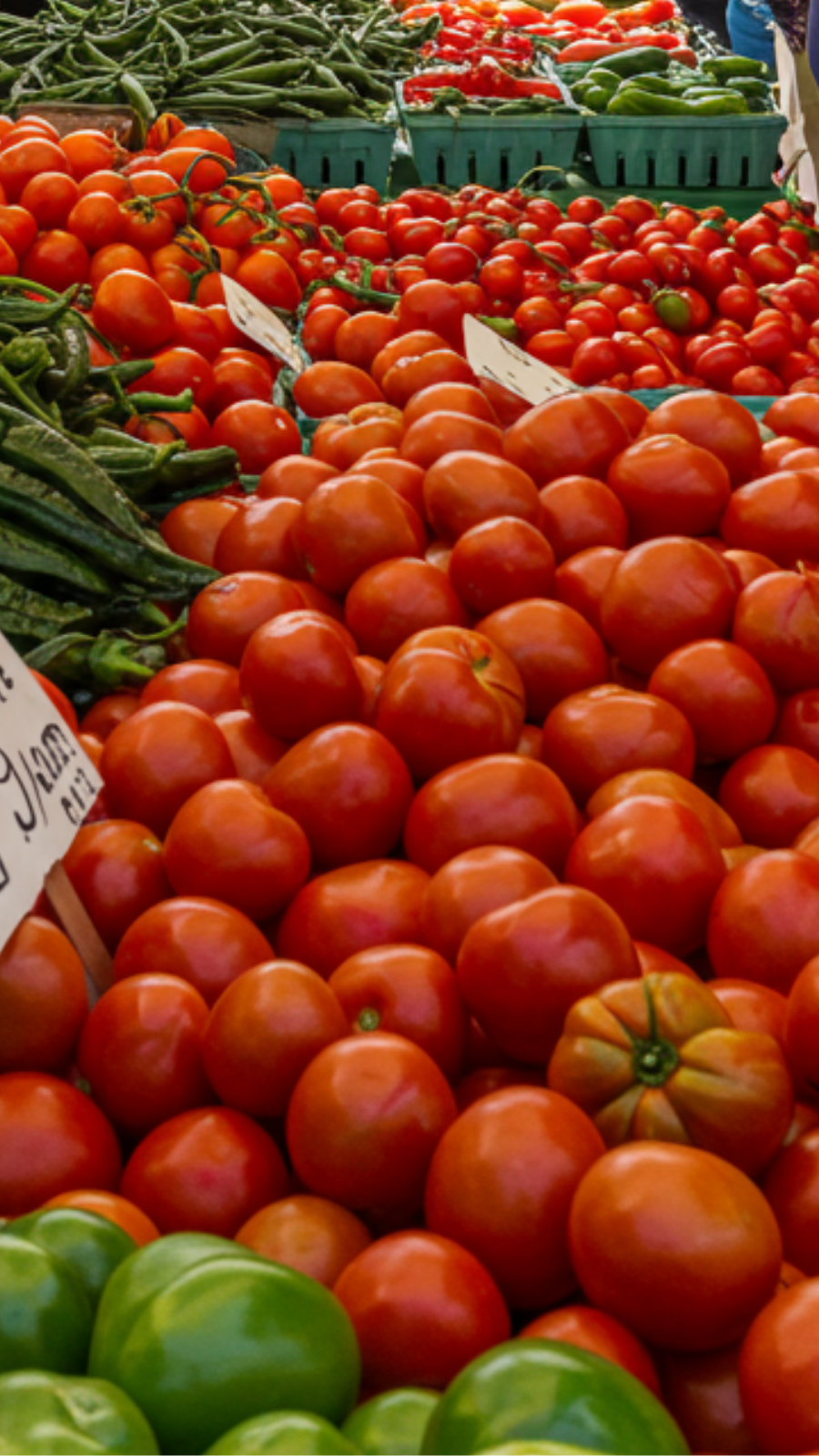 Taste of the Southwest: Santa Fe Farmers Market Cultural Journey