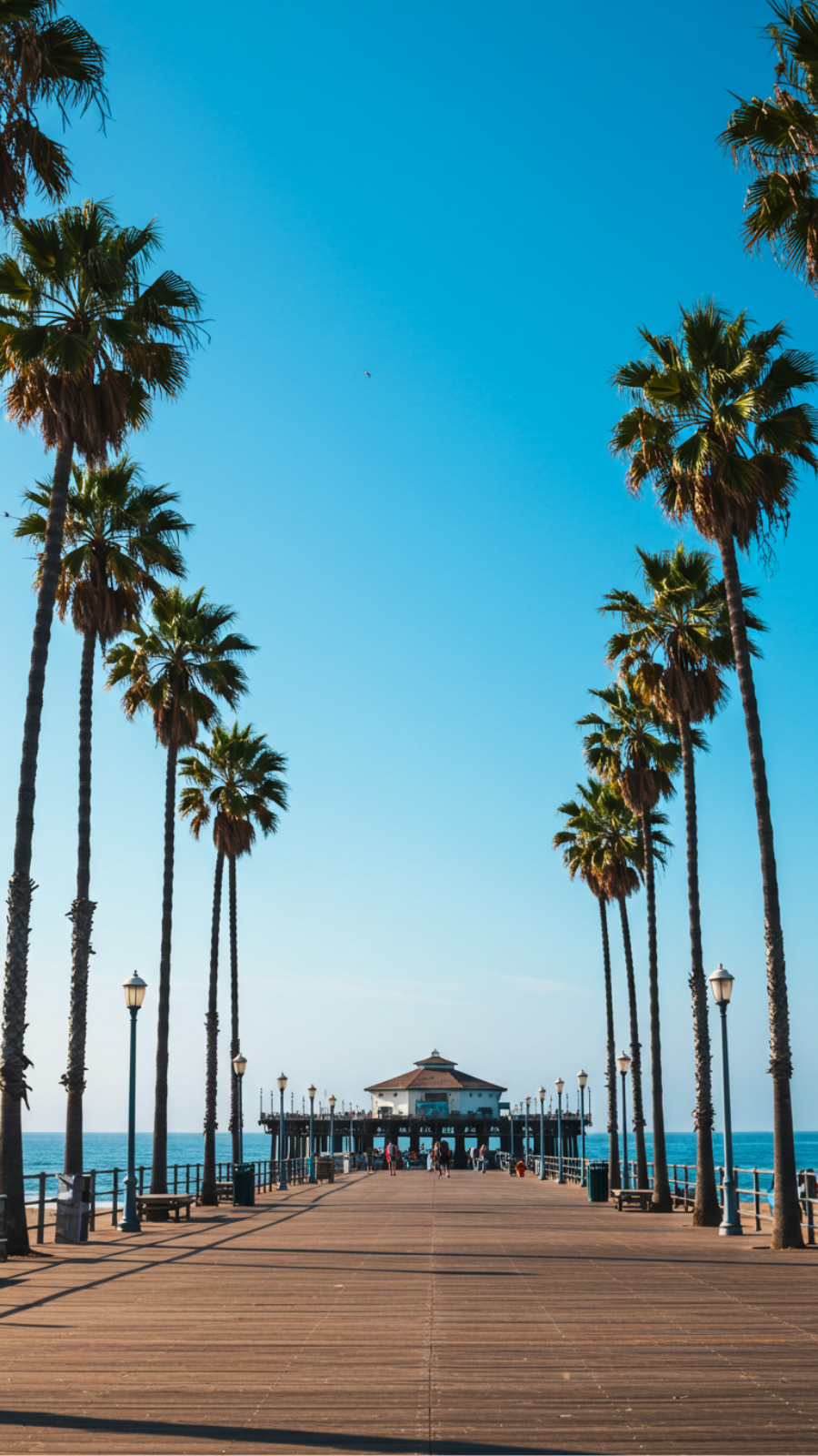 Take Photos of the Dreamy Palm Trees on Santa Monica Pier