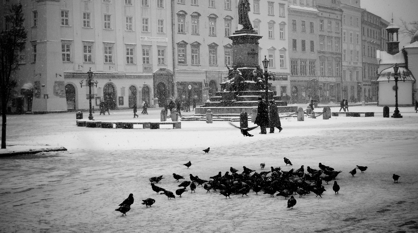Snow dusted Main Market Square Rynek Glowny and illuminated Sukiennice Cloth Hall in winter Krakow Poland